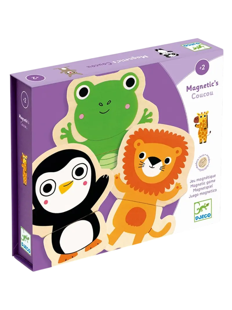 Магнитная развивающая игра деревянная Djeco