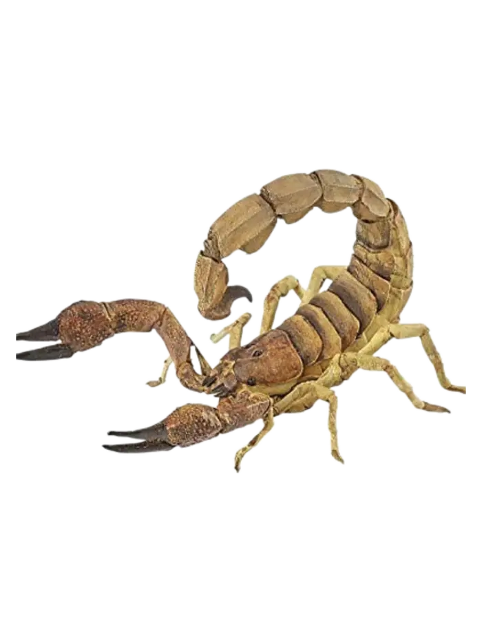 Игровая фигурка Papo Скорпион