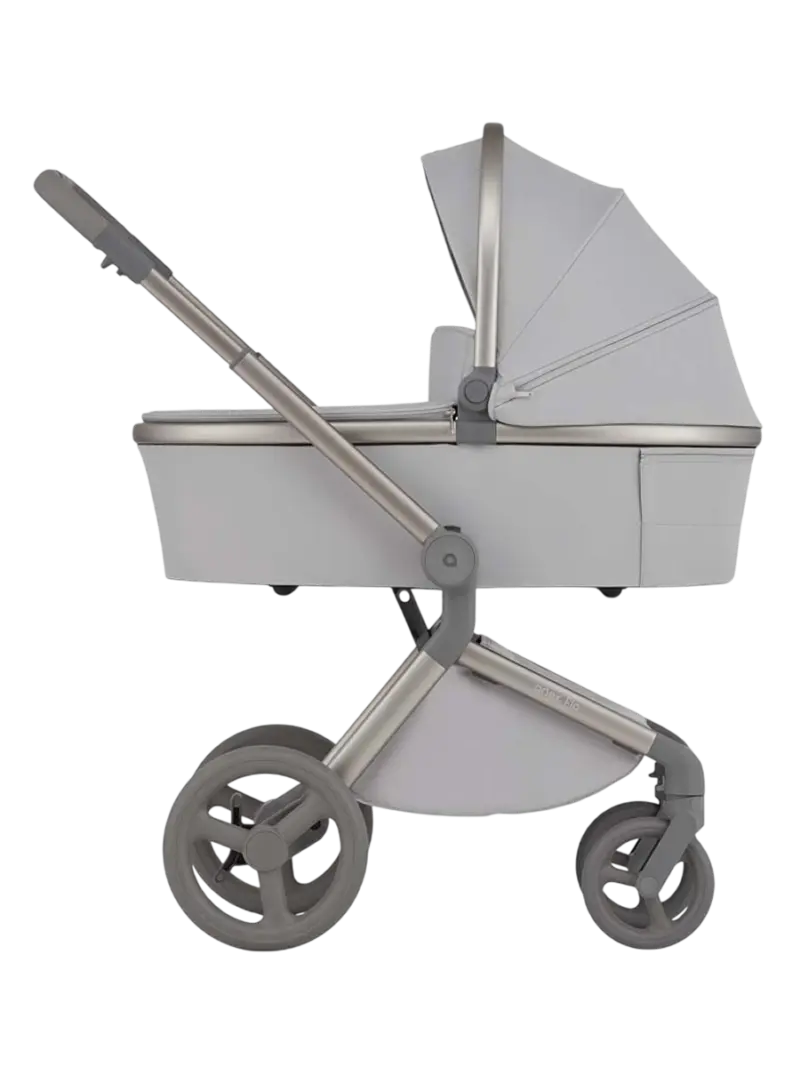 Премиальная универсальная коляска 2в1 Anex Flo Frossy