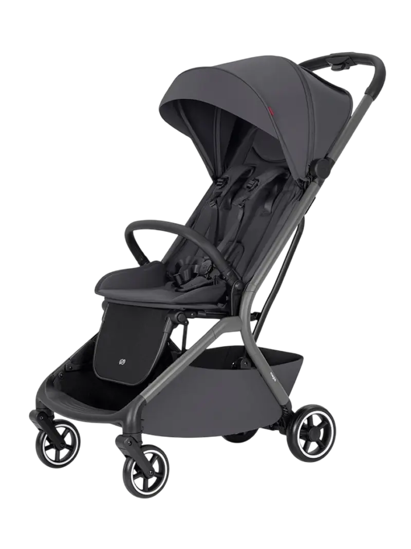 Всесезонная детская коляска 2в1 с люлькой Carrello Magia Elm Grey
