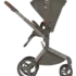 kolyaska-anex-flo-cesar-2-v-1-2