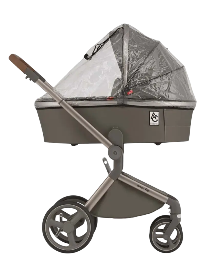 Коляска 2 в 1 Anex Flo