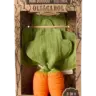 Игрушка-комфортер с прорезывателем Cathy The Carrot