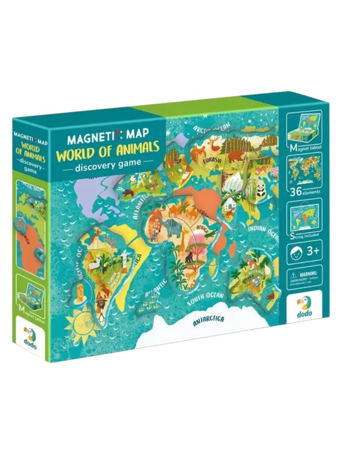 Магнитная игра Dodo Карта мира