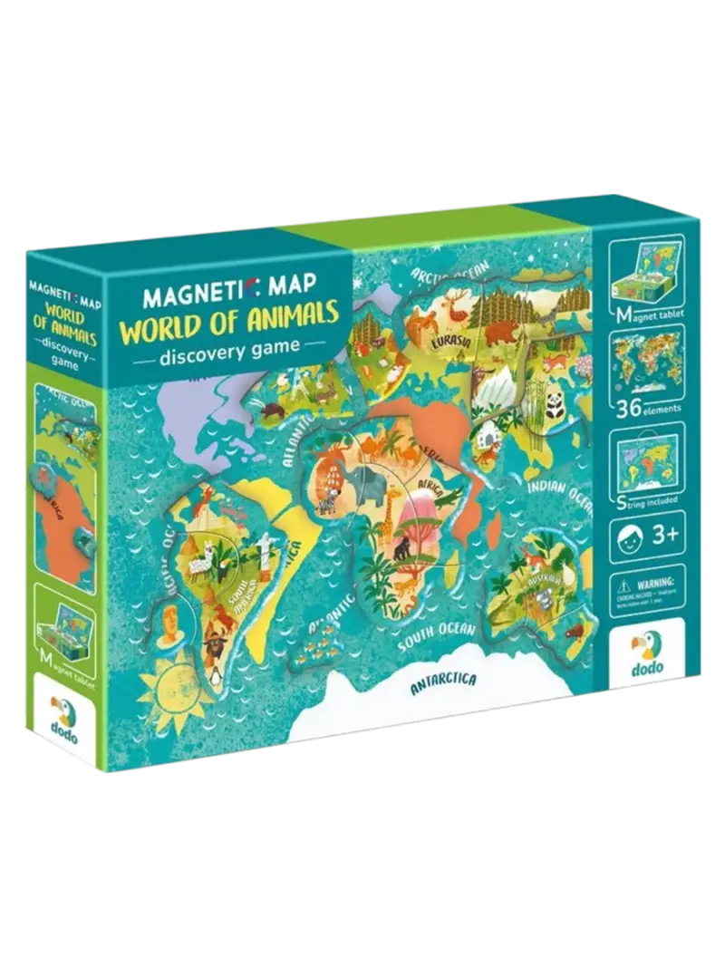 Магнитная игра Dodo Карта мира
