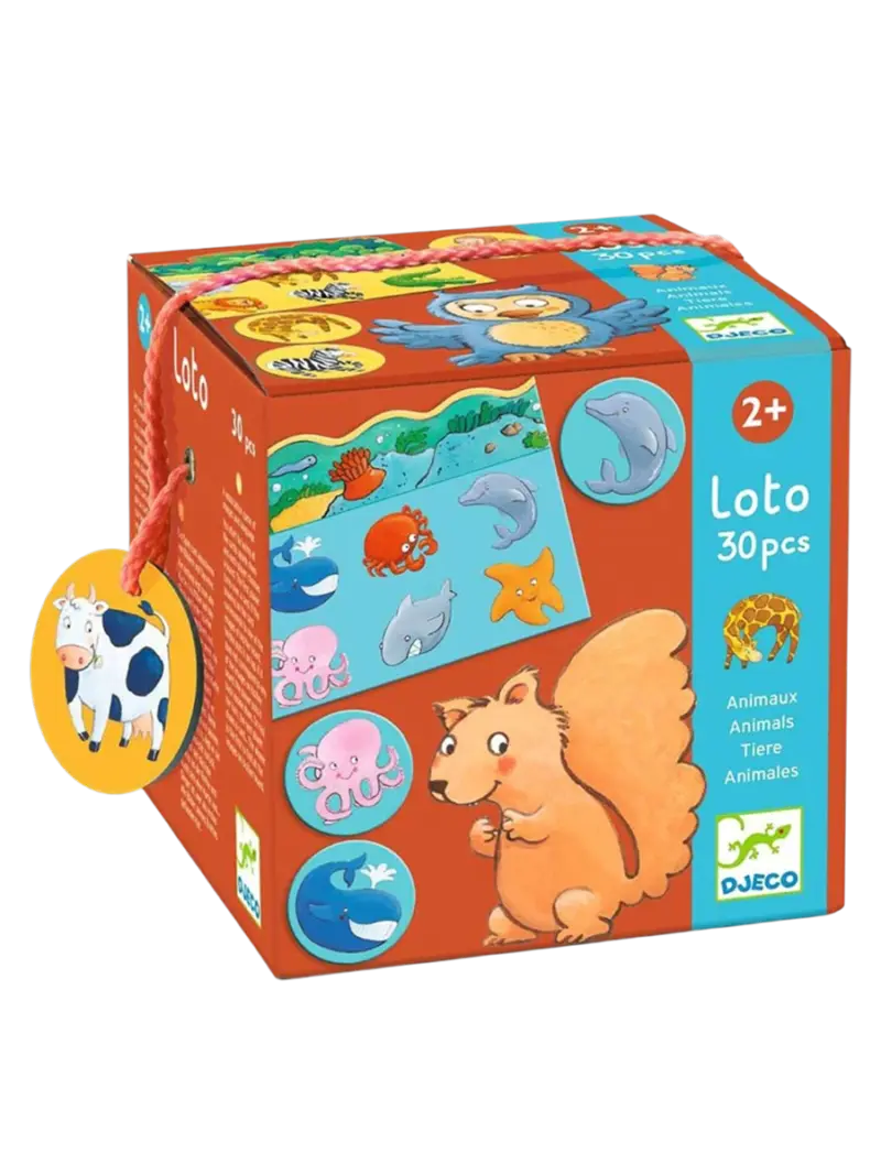 Настольная игра детская Мемо/Лото/Домино DJECO