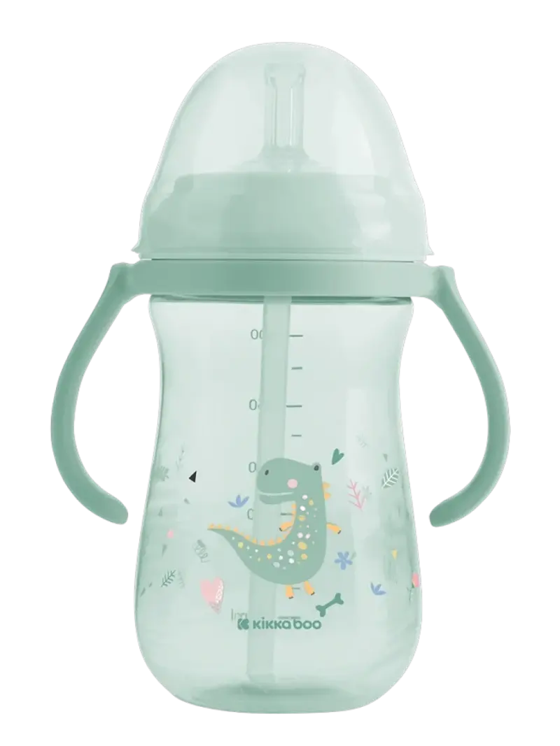 Поильник с трубочкой и ручками KikkaBoo Dino World Mint 300мл