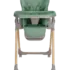 stulchik-dlya-kormleniya-kikkaboo-olive-mint-1